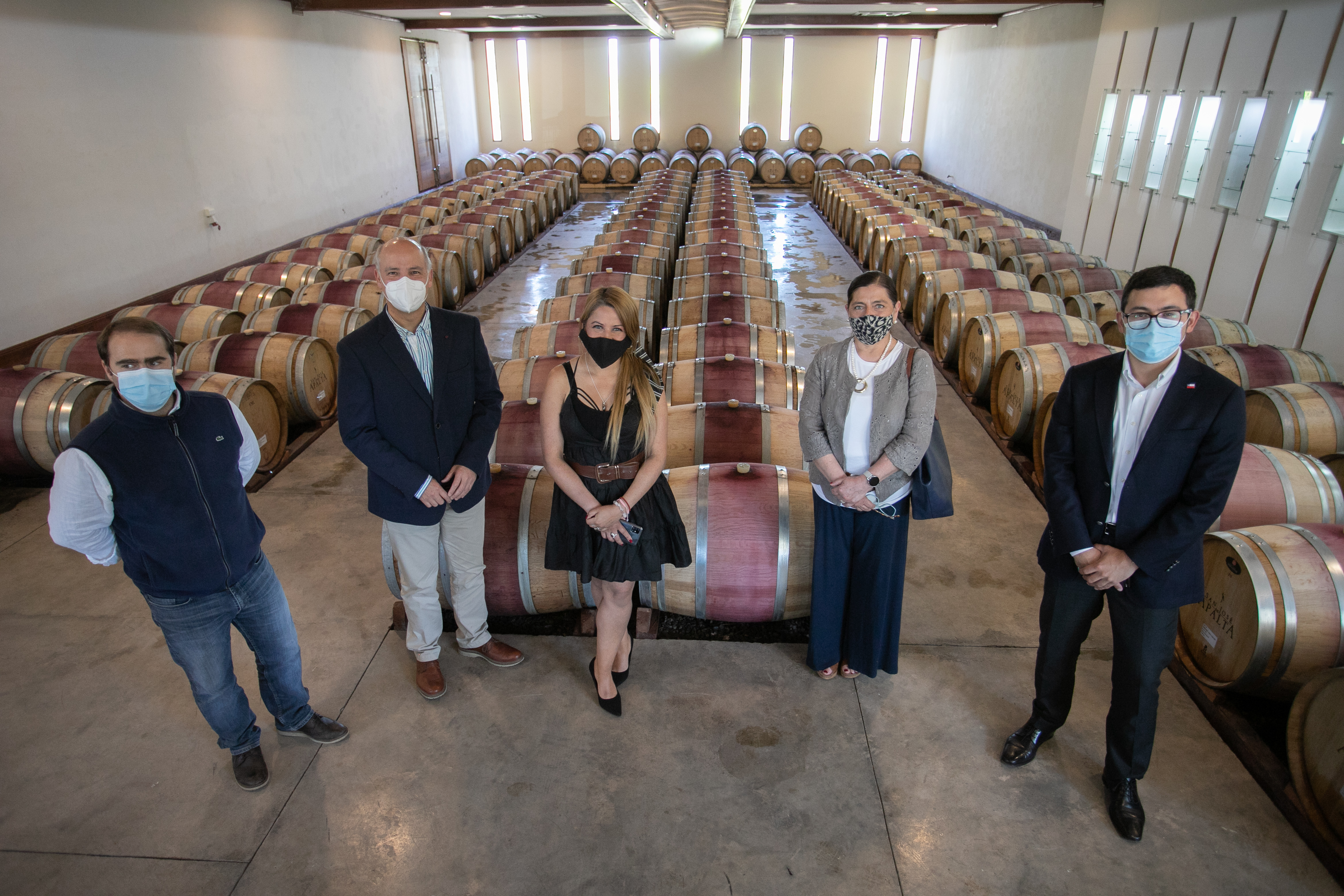 Portal Web busca fortalecer el desarrollo turístico y económico en torno a los vinos del Valle del Cachapoal