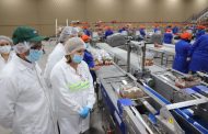 Intendenta Cofré valora que la exportación de cerezas y carnes empujen la recuperación económica en O'Higgins