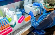 Laboratorio de Bioingeniería UOH alcanza el 40%  del total de exámenes de PCR en la región