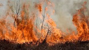Monitoreo Alerta Roja para la comuna de San Fernando por incendio forestal