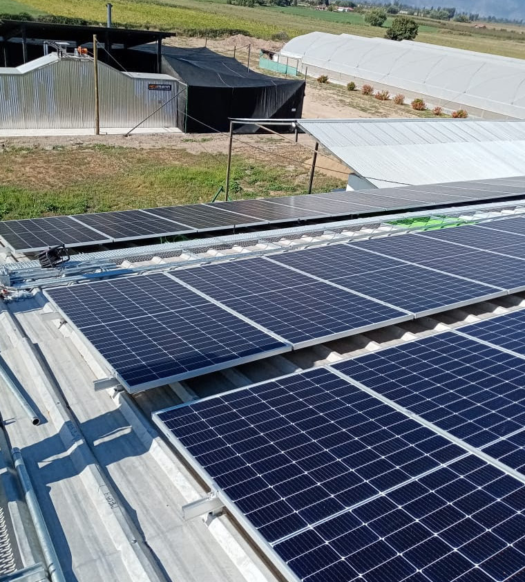 Cooperativa de agricultores de Pichidegua implementa planta fotovoltaica que beneficiará a la comunidad