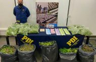Santa Cruz: PDI incautó 34 kilos de Marihuana desde una vivienda