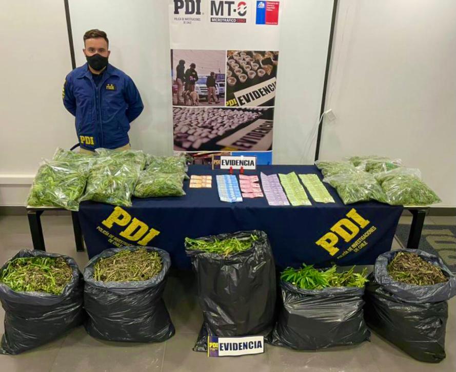 Santa Cruz: PDI incautó 34 kilos de Marihuana desde una vivienda