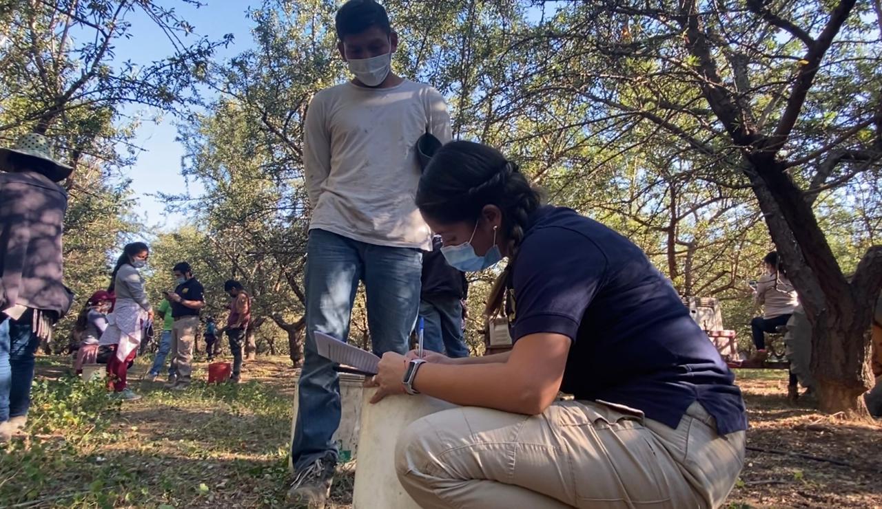 Mostazal: sorprenden a 13 trabajadores extranjeros que ingresaron en forma ilegal a Chile