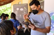 PAR Explora O'Higgins: “Dinosaurios y gonfoterios en Tagua Tagua”, un viaje en el tiempo