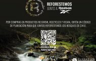 Reebok junto a Reforestemos inician campaña para plantar árboles en la Patagonia