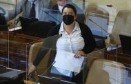 Diputada Romero presenta proyecto de ley para aumentar multas a empresas eléctricas y regular compensaciones a clientes afectados