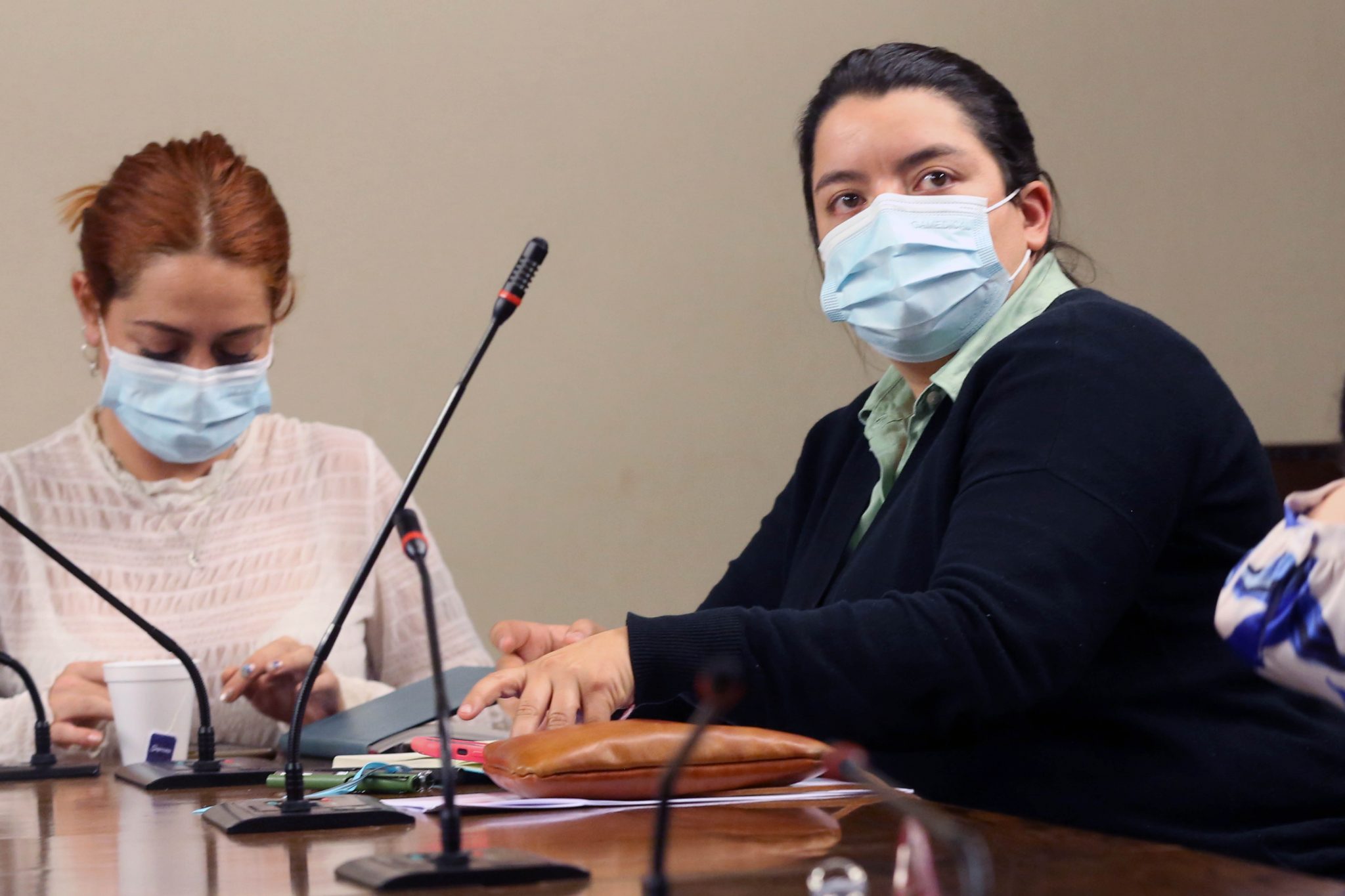 Diputada Romero solicita al Gobierno máxima urgencia a proyecto de ley que garantiza compensaciones a clientes afectados por cortes de luz