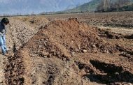 Dos empresas agrícolas fueron las responsables del mal olor en Rancagua