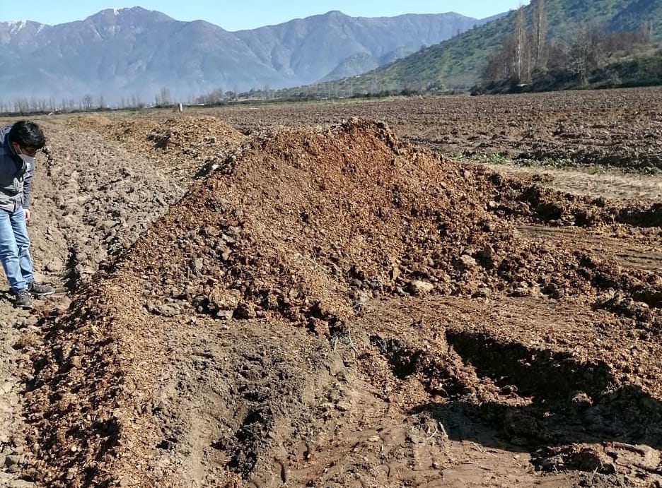 Dos empresas agrícolas fueron las responsables del mal olor en Rancagua