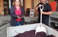 Emprendedoras colchagüinas innovan con cosmética de vino por sus propiedades antioxidantes