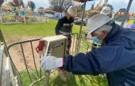 Fiestas Patrias: Fiscalizan instalaciones eléctricas y de gas en Medialuna de Rancagua