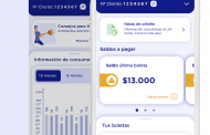 CGE lanza aplicación móvil