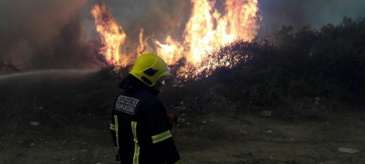 Diputada Romero presenta proyecto de ley para aumentar penas a quienes ataquen a Bomberos
