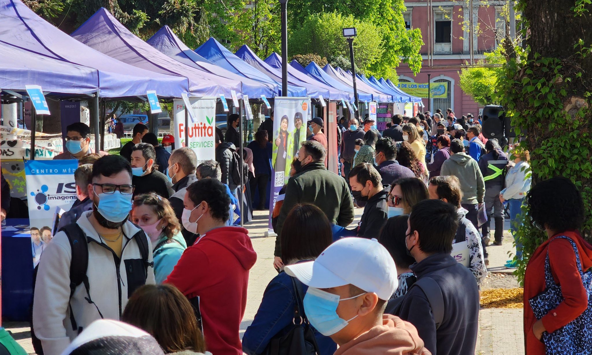 Sence desarrollará 15 feria laborales durante octubre en la región de O'Higgins