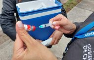 Seremi de Salud confirma hallazgo de murciélago con rabia en sector residencial de Machalí