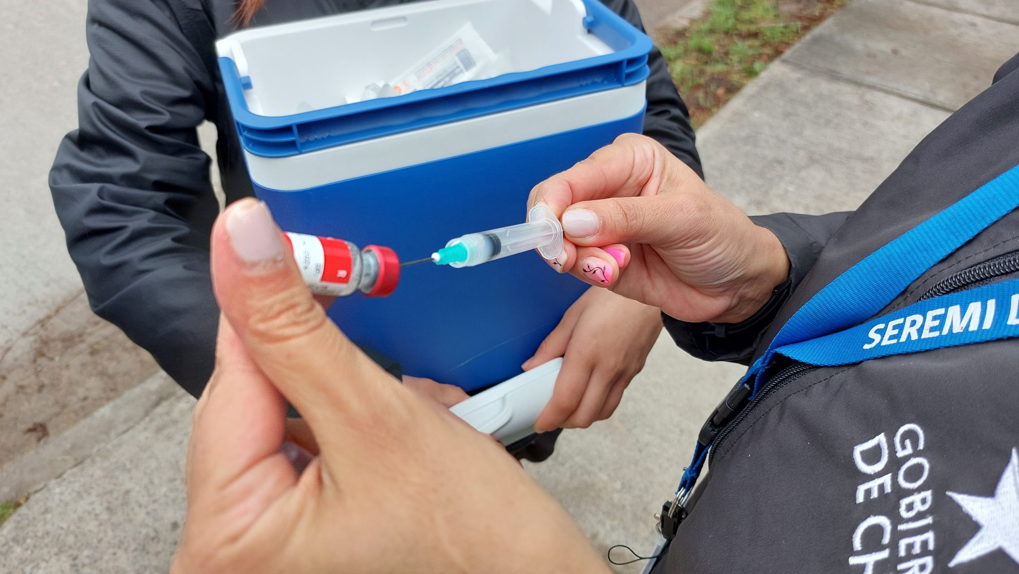 Seremi de Salud confirma hallazgo de murciélago con rabia en sector residencial de Machalí
