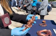 Rancagua: PDI recupera más de 7 toneladas de cobre robado