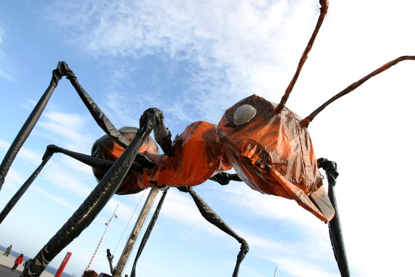 Insectos gigantes protagonizarán pasacalle internacional que se tomará Rancagua