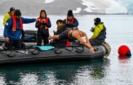 Por la protección del Océano Austral: Bárbara Hernández realizó el nado más largo de la historia en aguas de la Antártida
