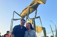 Miles de personas disfrutaron con los insectos gigantes que invadieron Rancagua