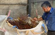 Fiscalización en chatarrerías de Rancagua permitió realizar decomiso de cable cobre y luminarias públicas