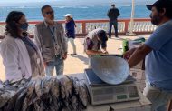 Semana Santa: Seremi de Salud intensifica fiscalizaciones de Pescados y Mariscos