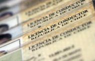 Diputada Romero exige al Gobierno renovar automáticamente licencias de conducir por tres años tras escasez de horas en municipios