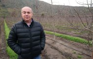Presidente de Fedefruta por elección de consejeros: 
