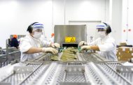 Primer trimestre exitoso PAE Junaeb: Preparaciones más apetecidas por los estudiantes y exitosa entrega de canasta para celíacos en la Región de O’Higgins
