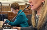 Consejera de RN presenta 238 enmiendas al anteproyecto de nueva Constitución