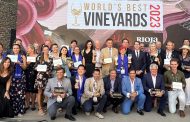 7 Viñas chilenas entre las 50 mejores del mundo