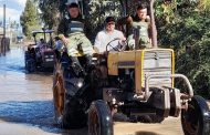 Fedefruta ya contabiliza 400 millones de dólares de pérdidas en la fruticultura por el sistema frontal