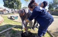 Alcalde Godoy y Concejo Municipal continúan trabajando por mejor calidad de vida para familias de Rancagua