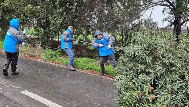 Caídas de árboles y una sede vecinal destruidas es el saldo del temporal en Graneros