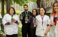 Hospital Regional crea su primera app clínica para teléfonos móviles