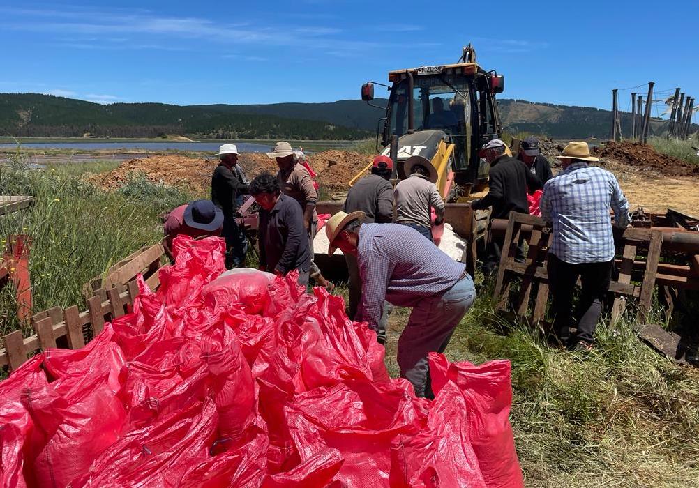 División El Teniente adquiere 500 toneladas de sal a Cooperativa de Salineros de Lo Valdivia