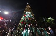Miles de familias disfrutaron con un emocionante encendido del Árbol de Navidad en Rancagua