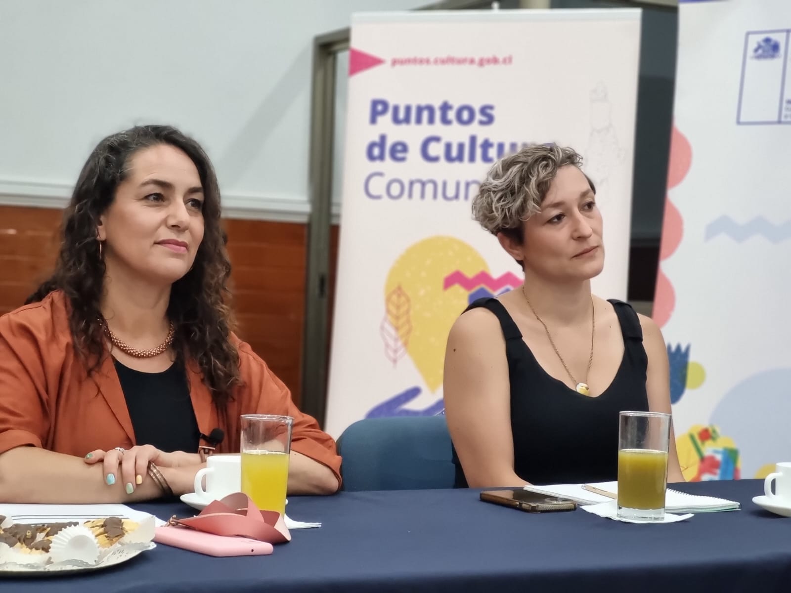 Seremi de Culturas y Universidad de O’Higgins dieron puntapié inicial al programa Puntos de Cultura Comunitaria en la región