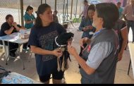 Seremi de Salud reporta nuevo caso de murciélago con rabia en Rancagua