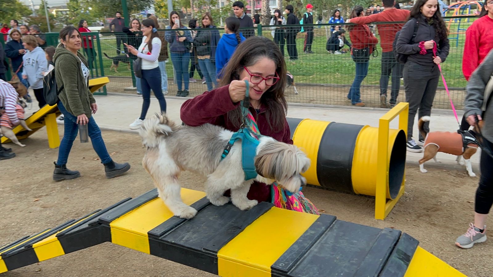 Municipalidad inaugura primer Parque Canino de Rancagua