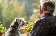 Mascotas y personas mayores: una combinación beneficiosa