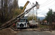 Región de O'Higgins: CGE refuerza sus brigadas de atención en terreno ante sistema frontal