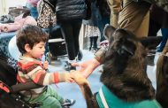 Día del Niño: Carabineros y “Felicia” visitaron a niños en Hospital Dr. Franco Ravera