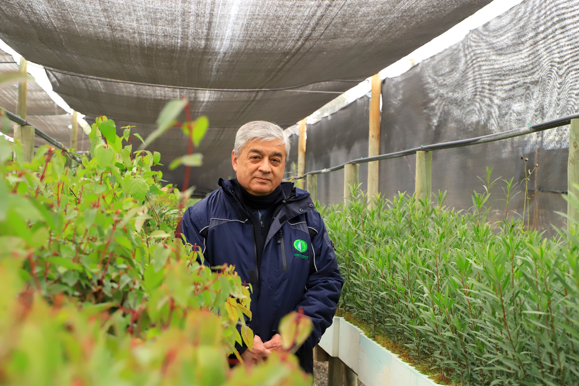 Compromiso forestal de El Teniente: rescatar, reproducir y reforestar