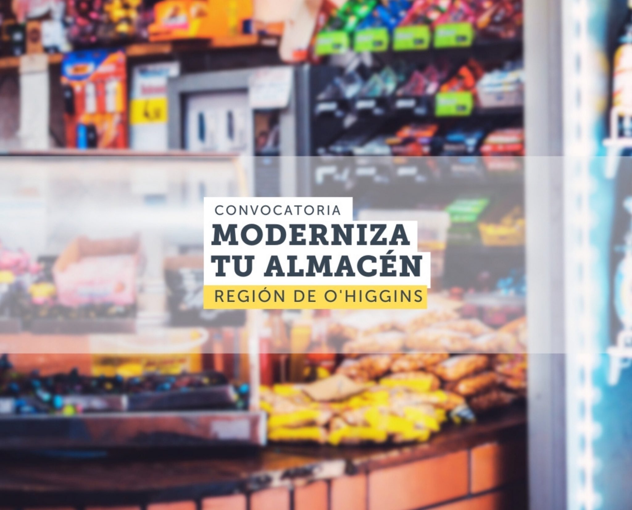 Abren fondo para apoyar la digitalización  de los almacenes de la Región de O’Higgins
