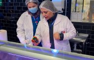 Fiestas Patrias: Seremi de Salud intensifica fiscalizaciones a carnes y otros productos alimenticios
