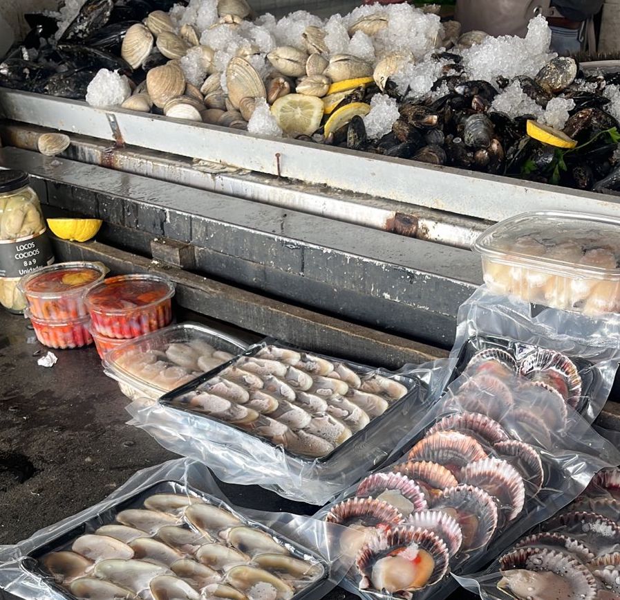 Seremi de Salud decomisa más de 50 kilos de mariscos en Pichilemu