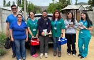 Murciélago con Rabia en Coinco: Seremi de Salud y Municipio realizaron vacunación a mascotas