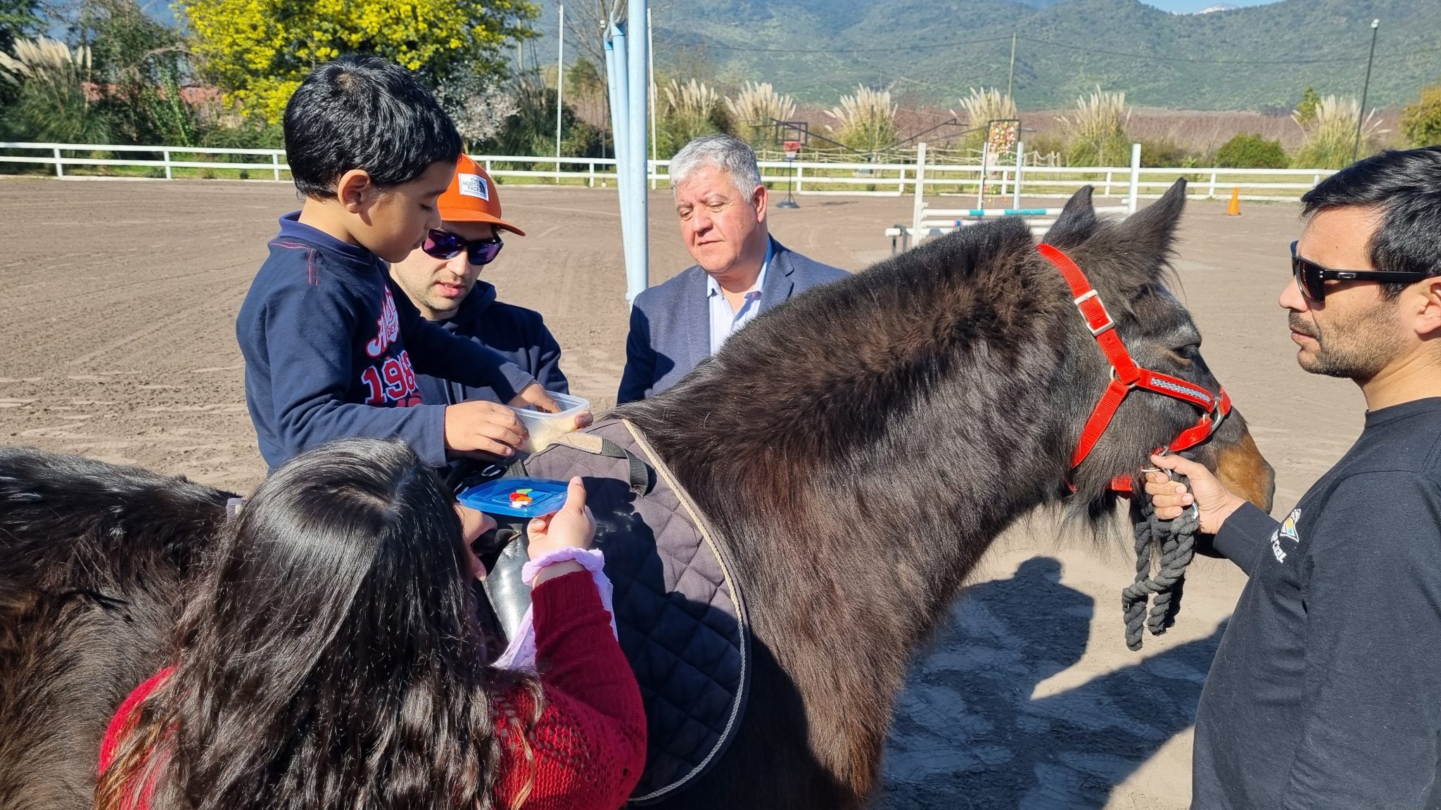 Fundación Equinoterapia de San Fernando inaugura invernadero hidropónico
